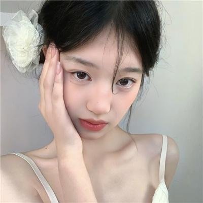 假元首秘纪